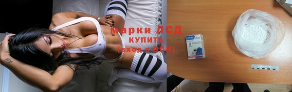 ПСИЛОЦИБИНОВЫЕ ГРИБЫ Бородино