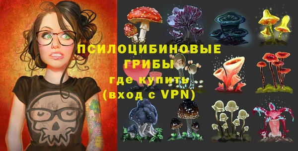 прущие крисы Бугульма