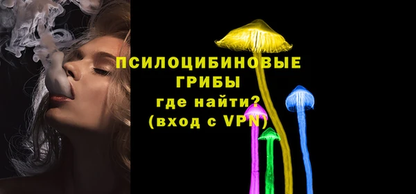 ПСИЛОЦИБИНОВЫЕ ГРИБЫ Бородино