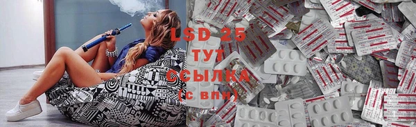 ПСИЛОЦИБИНОВЫЕ ГРИБЫ Бородино