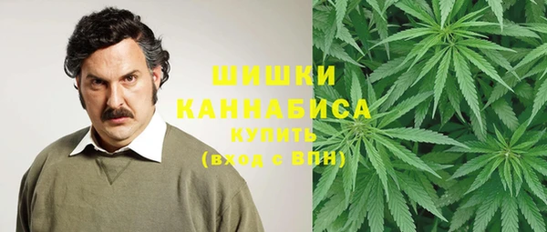 ПСИЛОЦИБИНОВЫЕ ГРИБЫ Бородино
