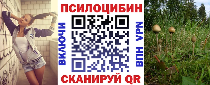 Галлюциногенные грибы мухоморы  Купить где  Шадринск 